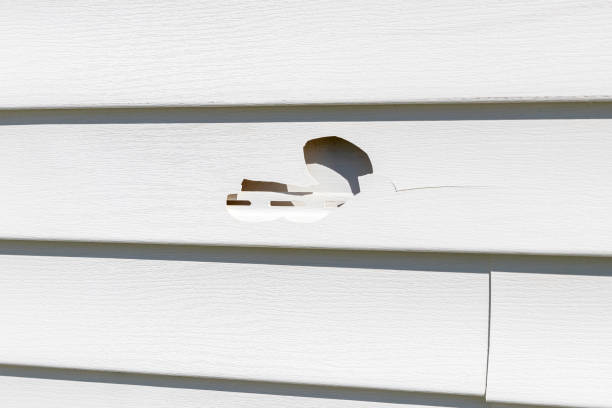 Storm Damage Siding Repair in Trail Creek, IN